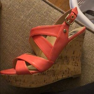 Coral wedges